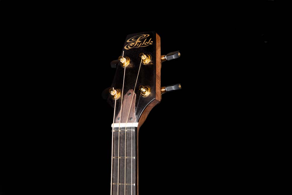 fylde tenor guitar