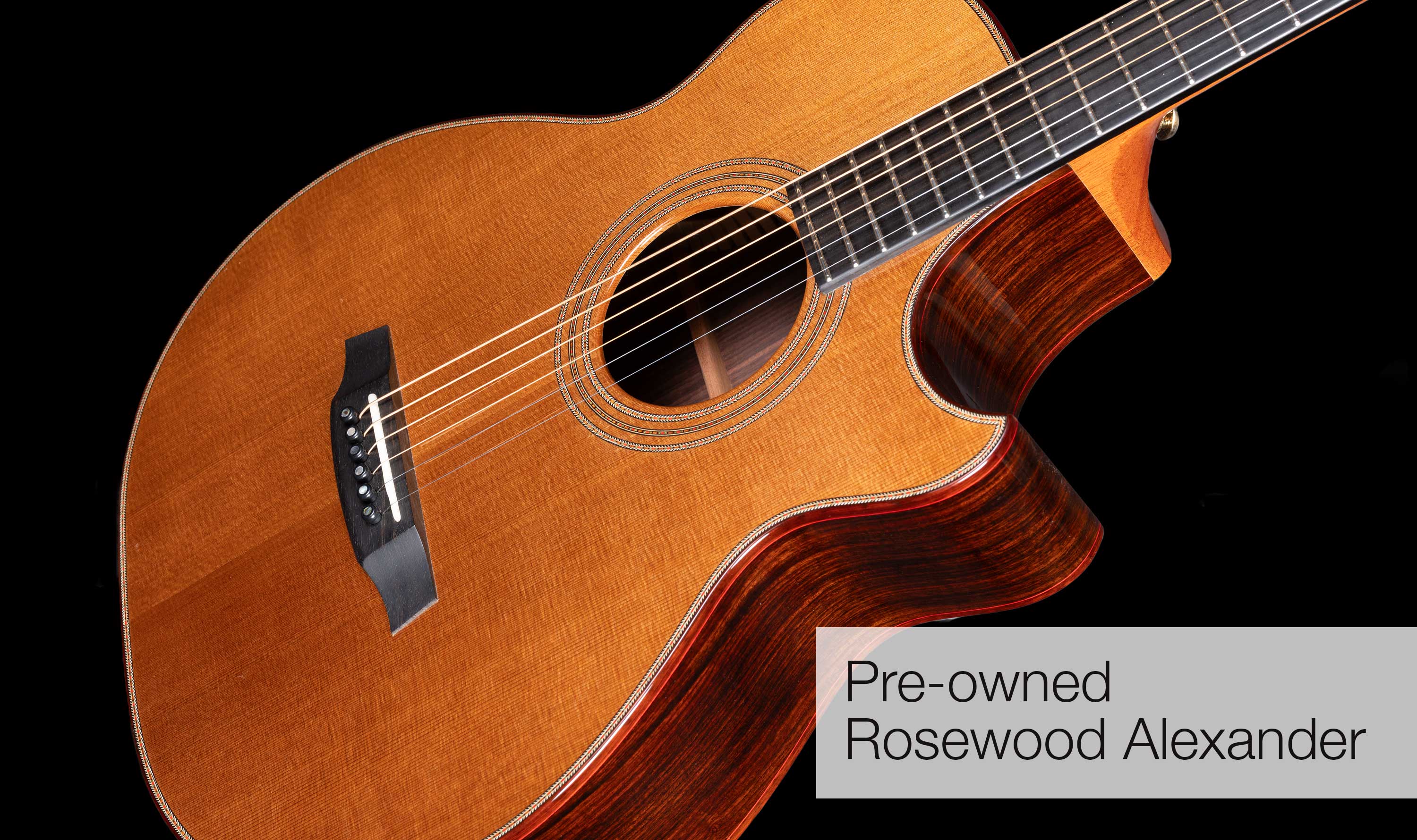 Welcome to Fylde Guitars Newsletter