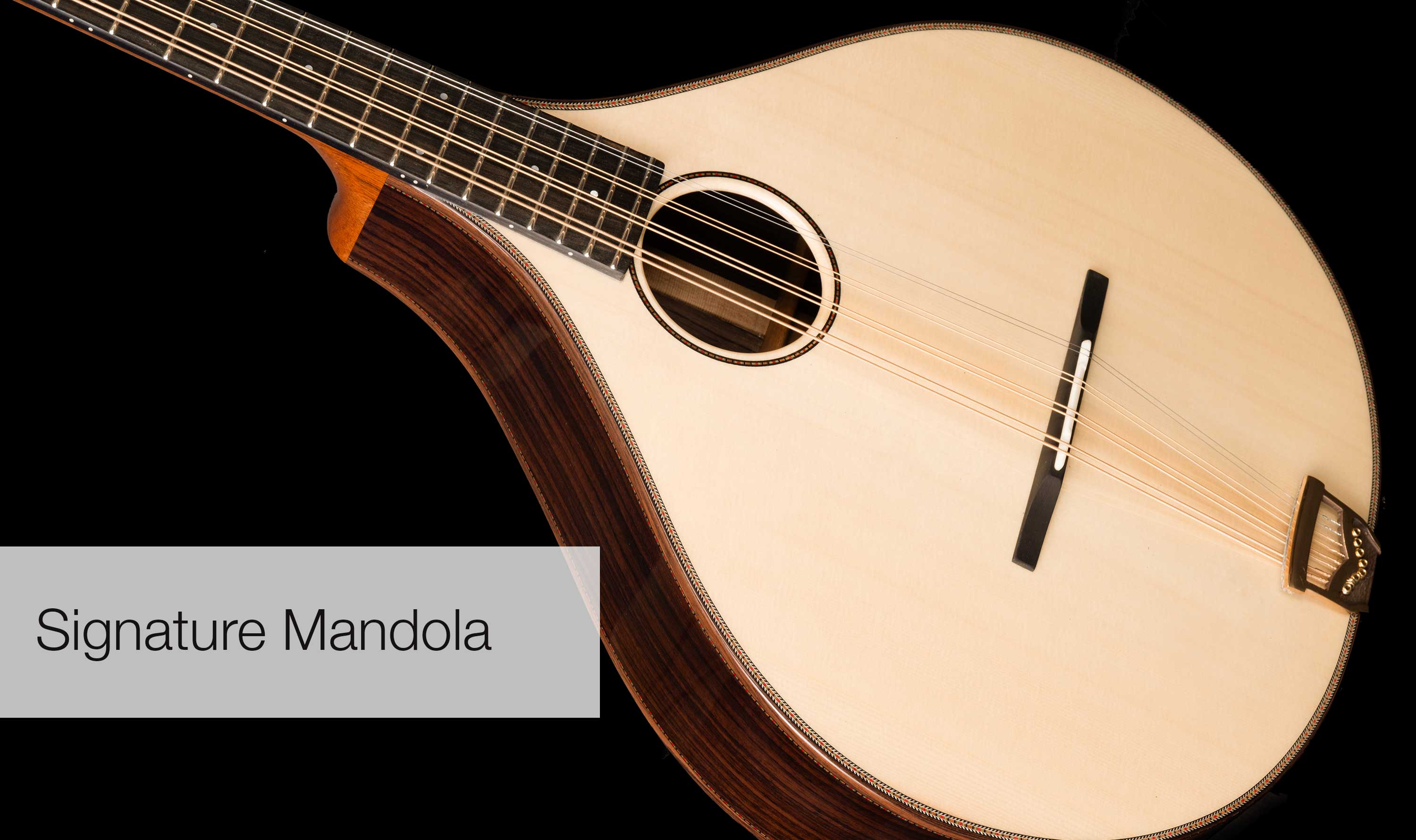 Mando Lo Instrument Welcome to Fylde Guitars Newsletter March 2025
