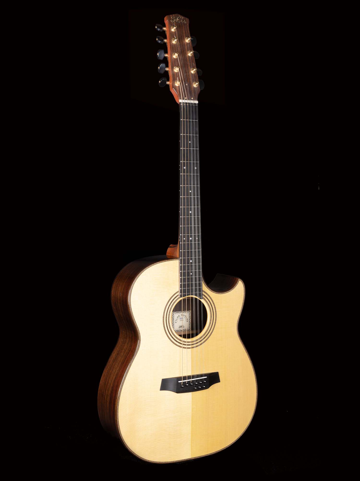 9-String-Guitar-DSCF1581