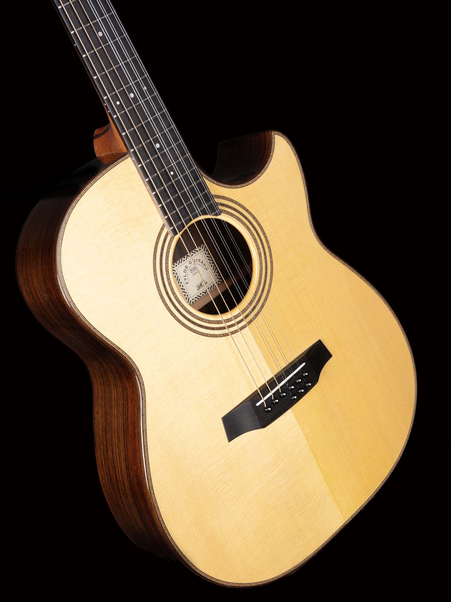 9-String-Guitar-DSCF1584