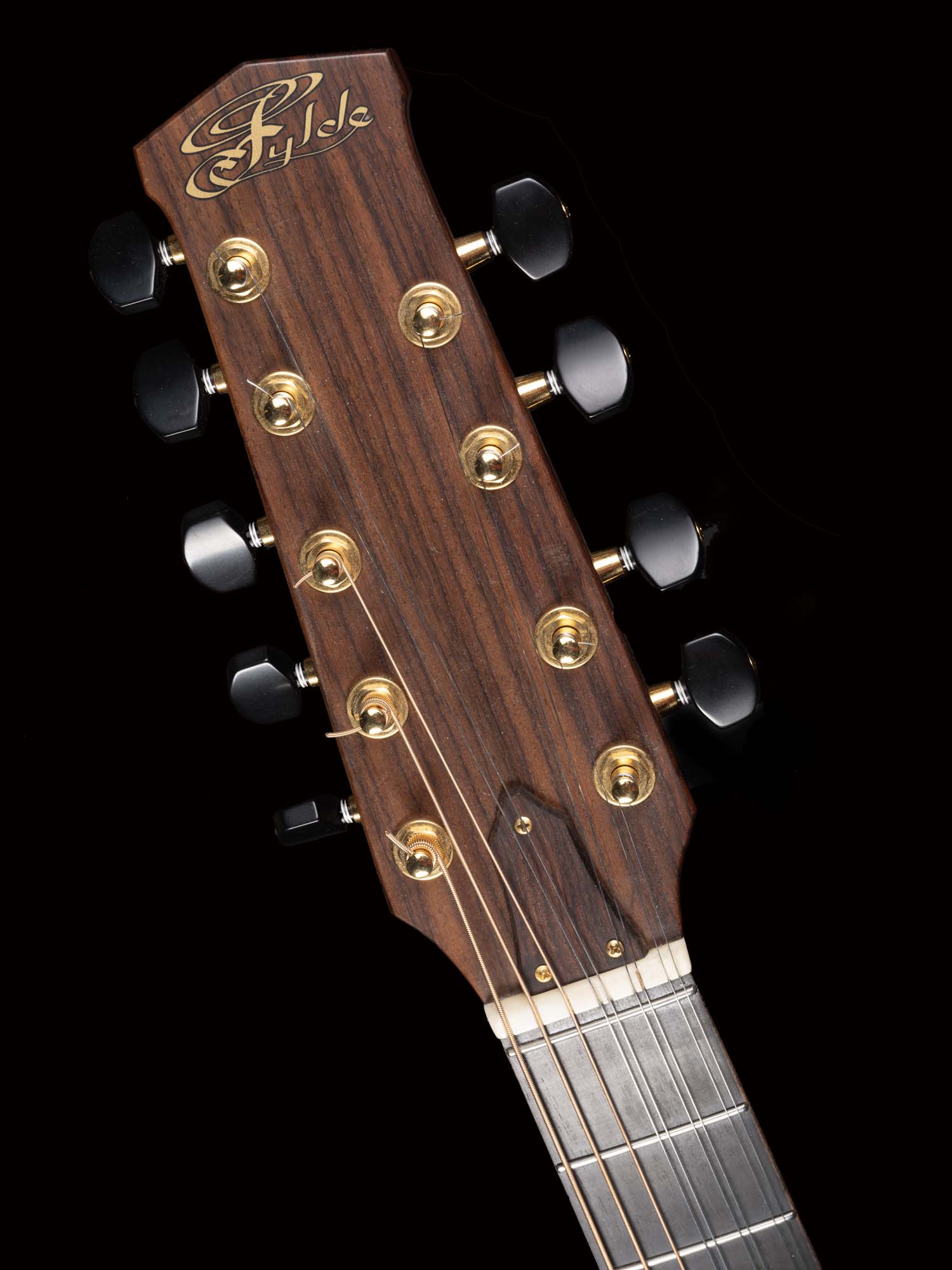 9-String-Guitar-DSCF1596