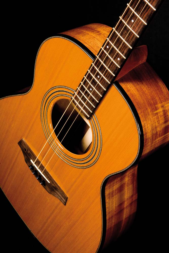 fylde tenor guitar